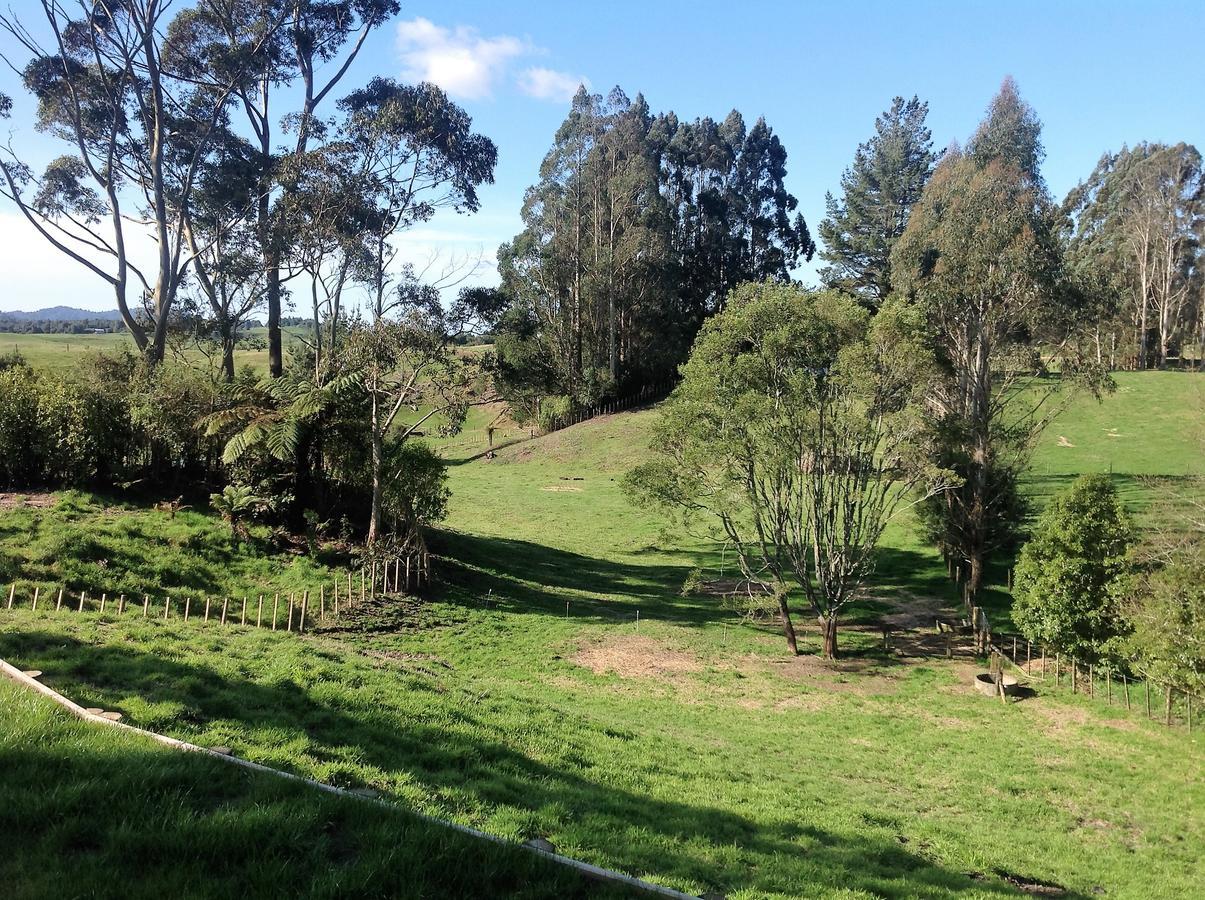 Rolling Hills Country Stay B&B Tauranga Exteriér fotografie