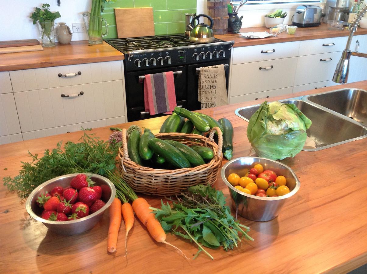 Rolling Hills Country Stay B&B Tauranga Exteriér fotografie