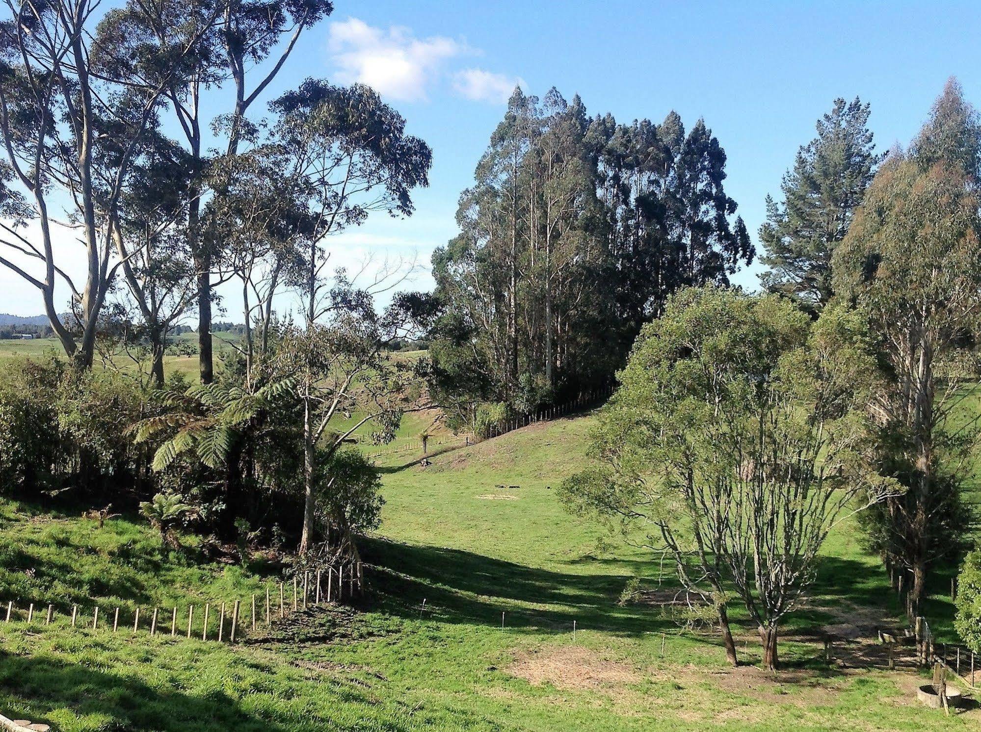 Rolling Hills Country Stay B&B Tauranga Exteriér fotografie
