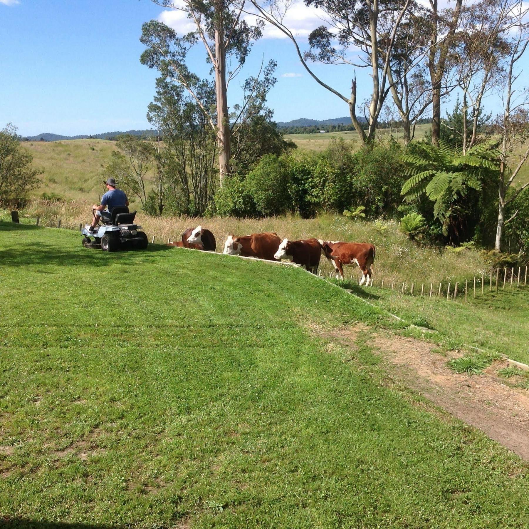 Rolling Hills Country Stay B&B Tauranga Exteriér fotografie