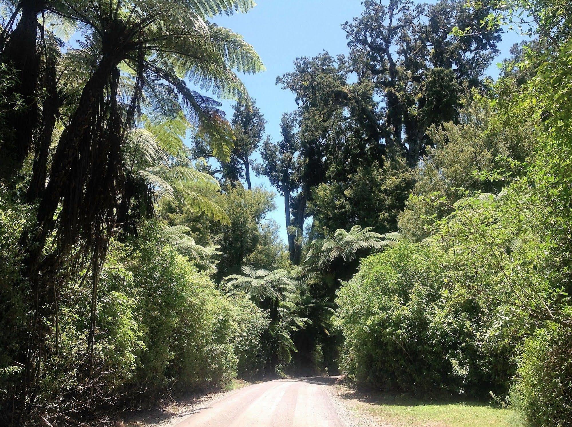 Rolling Hills Country Stay B&B Tauranga Exteriér fotografie